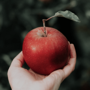 apple in a hand