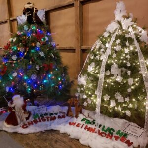 Tannenbaum trees decorated in blue and white